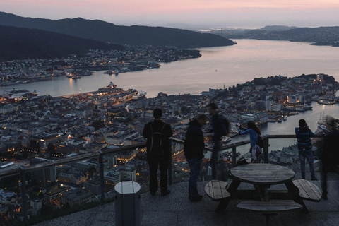 Oslo: Exclusive Hidden Gems, Waterfall & Scenic Luxury Tour