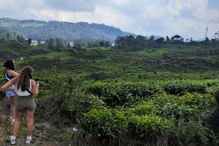 Bandung: White Crater, Scenic Tea Plantations & Hot Spring Open Tour: White Crater & Surroundings areas. with Tickets