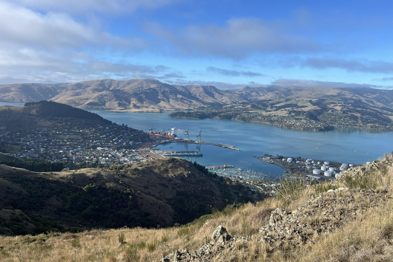 基督城：Port Hills 全天徒步跑步之旅基督城：港口山全日徒步跑步之旅