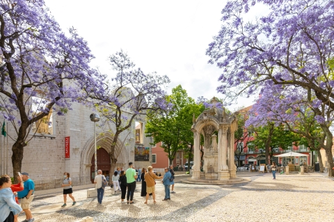 Lisbon Essential Tour: History, Stories & Lifestyle Private Tour in German