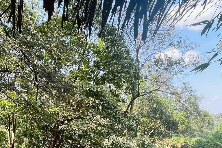 Nairobi: Paradise Lost Waterfall and Caves Guided Tour