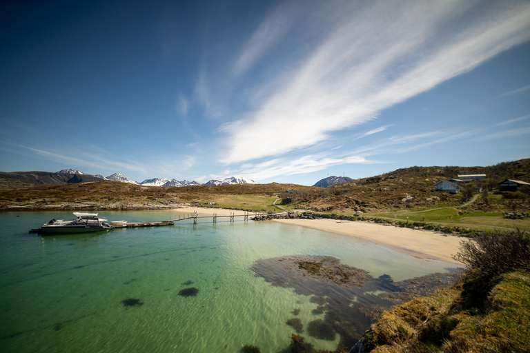 Tromsø: Fjord Adventure with Lunch and Photos Tromsø: Fjord Minibus Tour with Lunch and Free Photos