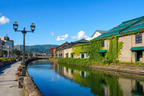 Sapporo: Otaru Canal Private Walking Tour with Photos