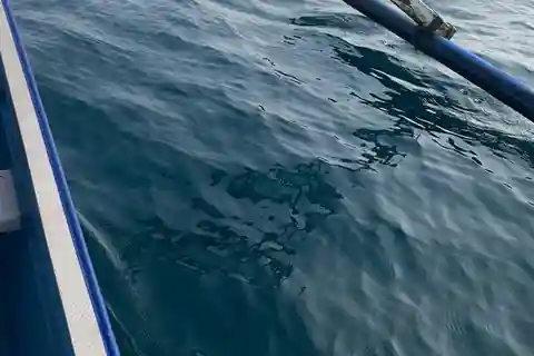 Bali : Lovina Dolphin & Swim, Snorkeling, 2 Destination stop