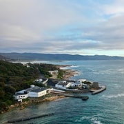 Bicheno: Waubs Harbour Distillery Guided Whisky Tasting