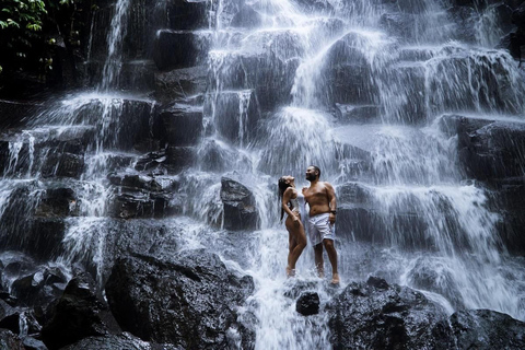 Ubud: Monkey Forest, Rice Terrace, Waterfall Private Tour Private Tour Without Entry Tickets