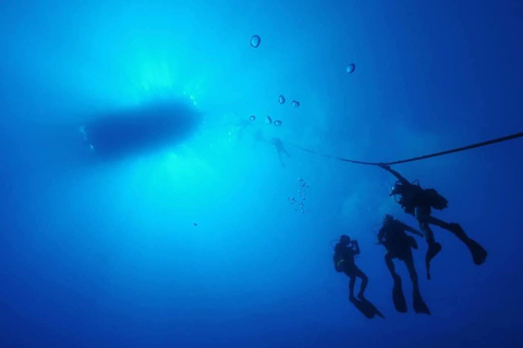 Zakynthos: Scuba Diving Experience with Underwater Photos Double dive discover scuba diving course