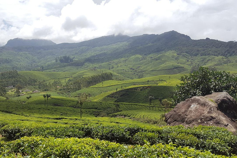 Sri Lanka:Excursão de 6 dias a Kandy, Nuwara Eliya, Bentota e Colombo