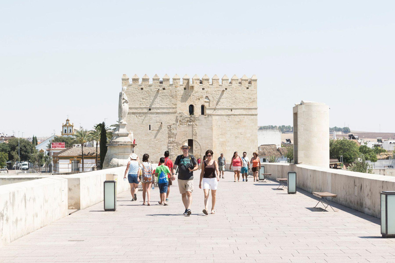Circuit de 4 jours en Andalousie : Cordoue et Séville depuis MadridHôtel Chambre Simple