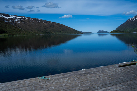 Senja Exploration (Arctic Fjords & Coastal Scenery)