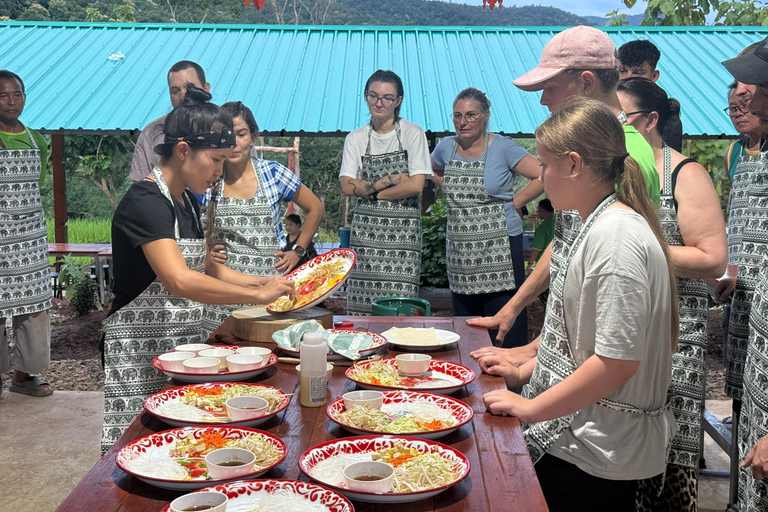 Chiang Mai: Elephant Sanctuary & Thai Cooking Workshop Meeting Point In Town