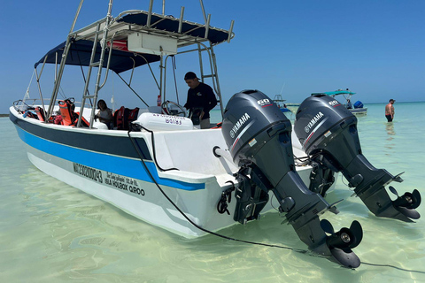 Holbox : boat tour, golfcart, beach club, pick up available Holbox tour from Cancun hotel zone , Costa mujeres, downtown