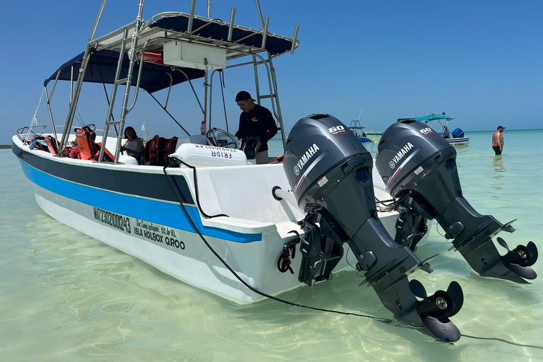 Holbox : boat tour, golfcart, beach club, pick up available Holbox tour from Cancun hotel zone , Costa mujeres, downtown