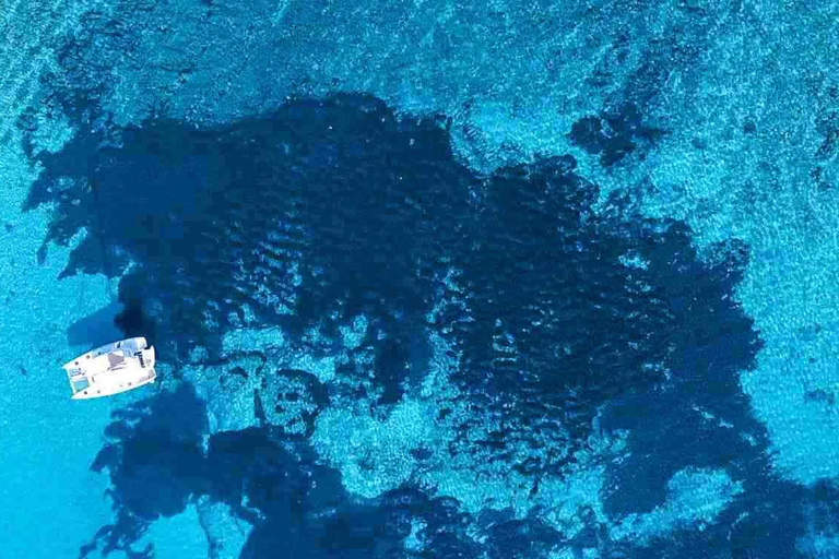 Split: Blue Lagoon Catamaran Cruise with Snacks