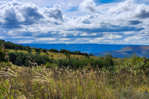 Johannesburg: Cradle of Humankind World Heritage Site TourJohannesburg: Werelderfgoedtour &#039;Cradle of Humankind&#039;