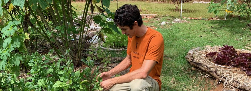 Porto Rico, Dorado : Randonnée Éducative en Forêt