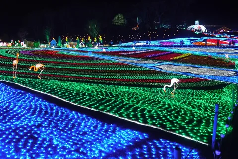 Tokyo: German Village Lighting and Farm Experience