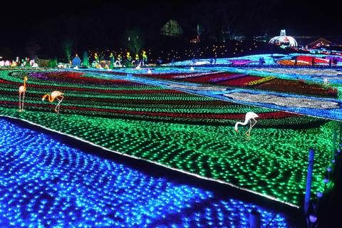 Tokio: Duitse Dorpsverlichting en Boerderij Experience