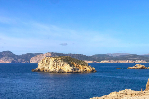 Mallorca: Passeio de catamarã de 2 horas pelo litoral e pelas Ilhas MalgratDe Playa Tora - à Tarde