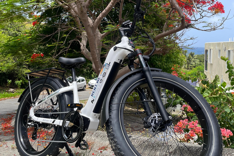 St. Maarten Electric Bike Rental w/ Island’s Top Attractions Sint Maarten: Beach Escape Package