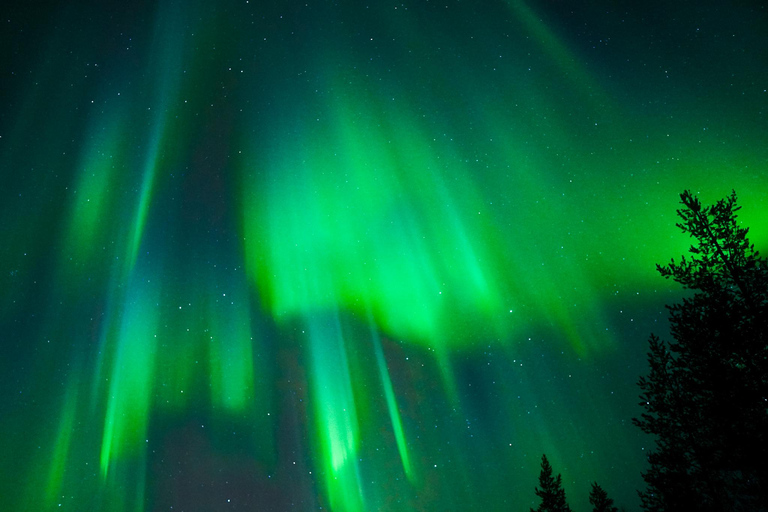 Tromsö: Norrskenstur med garanterade observationer