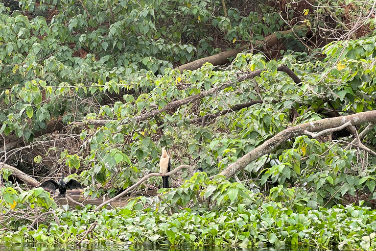 VISITE À LA JOURNÉE DE JINJA ET DES SOURCES DU NIL