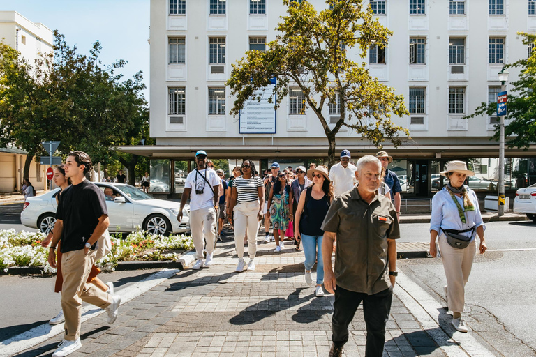 Da Cidade do Cabo: Tour de vinhos em 3 regiões com 3 propriedades e 15 vinhos