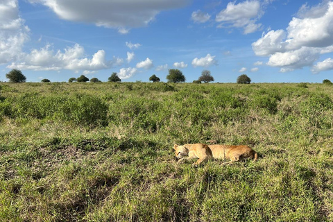 Nairobi: National Park, Karen Blixen & Kazuri Beads Factory