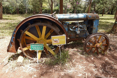 Nairobi :Karen Blixen Museum & Giraffe Centre Day Tour