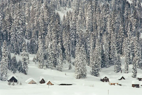 From Batumi: Bakhmaro Winter Tour with Nabeghlavi Stop
