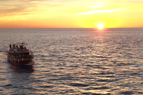 Medulin: 3h Ultra ALL-INCLUSIVE Sunset Dolphin Boat trip 3hours Dolphin Sunset watching with drinks+dinner sandraboat