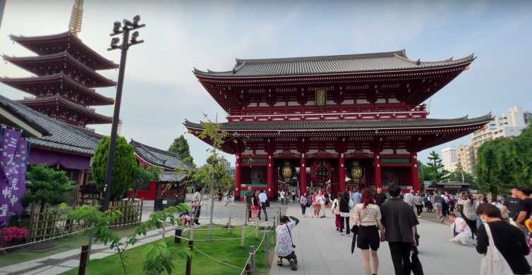 Tòquio: visita privada de dia complet amb guia anglès