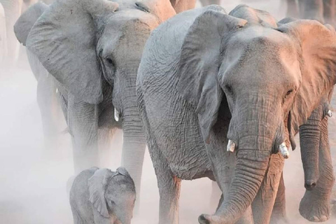 5 Days Tarangire, Ngorongoro & Serengeti National Park