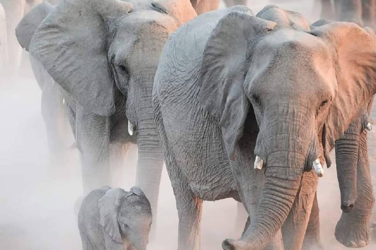 5 Days Tarangire, Ngorongoro & Serengeti National Park