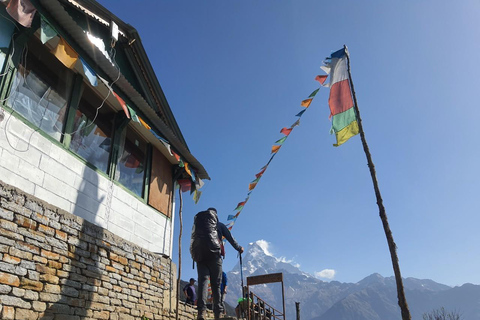 Pokhara: 5-tägiger Mardi Himal Base Camp Trek mit Transfers