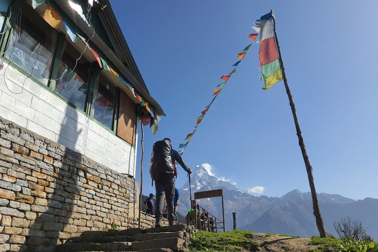 Pokhara: trekking di 5 giorni al Campo Base del Mardi Himal con trasferimenti