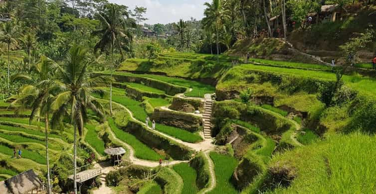 Ubud Traditional Market、ウブド – チケット＆ツアーの予約