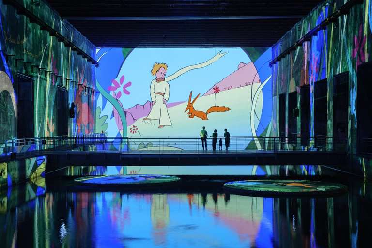 Bordeaux : Bassins des Lumières Billet Le Petit Prince