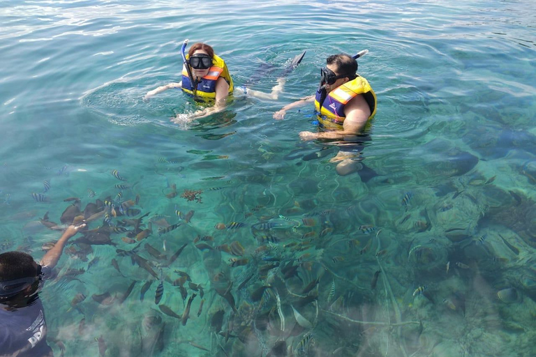 Lombok: Private Glass-Bottom Boat Tour with Snorkeling