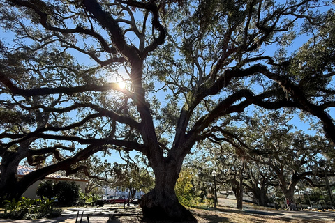 Safety Harbor: tour gastronomico con una guida locale