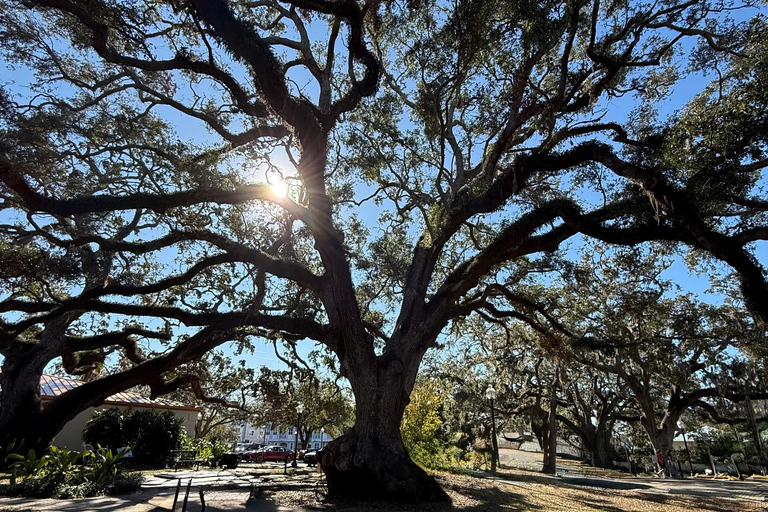 Safety Harbor: tour gastronomico con una guida locale