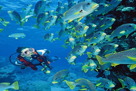Hurghada : excursion en yacht avec plongée, activités nautiques et déjeunerDepuis Makadi, Soma Bay, Gouna, Sahl Hashesh ou Safaga
