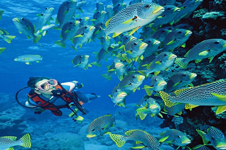 Hurghada: Yacht Trip with Diving, Water Activities, & Lunch From Makadi, Soma Bay, Gouna, Sahl Hashesh, or Safaga