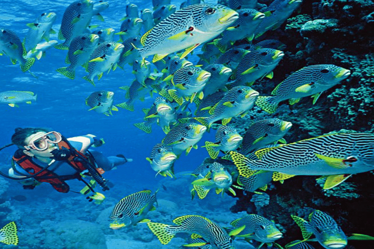 Hurghada : excursion en yacht avec plongée, activités nautiques et déjeunerDepuis Makadi, Soma Bay, Gouna, Sahl Hashesh ou Safaga