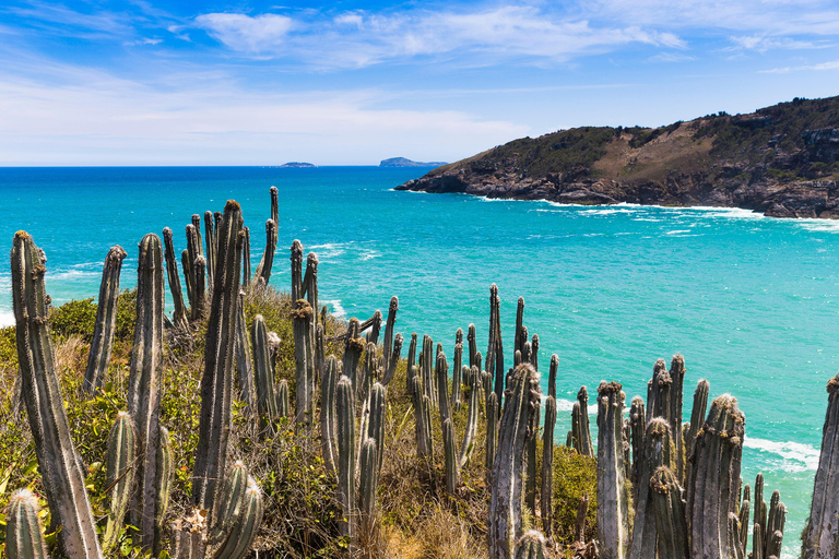 Rio de Janeiro: Full-Day Excursion to Búzios with Cruise Tour and Lunch