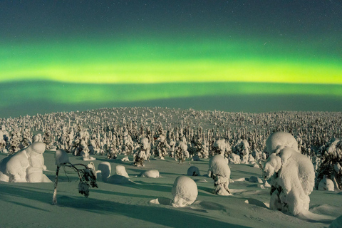 Rovaniemi : Randonnée guidée de Riisitunturi avec photographie