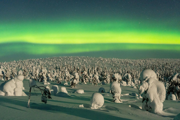 Rovaniemi: Riisitunturi Guidad vandring med fotografering