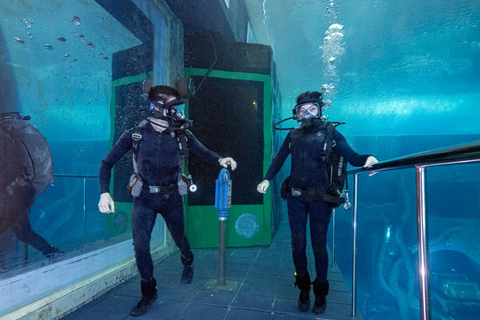 迪拜：Deep Dive 水下漫步之旅（无需证书）白金级水肺潜水，包括长视频和设施参观