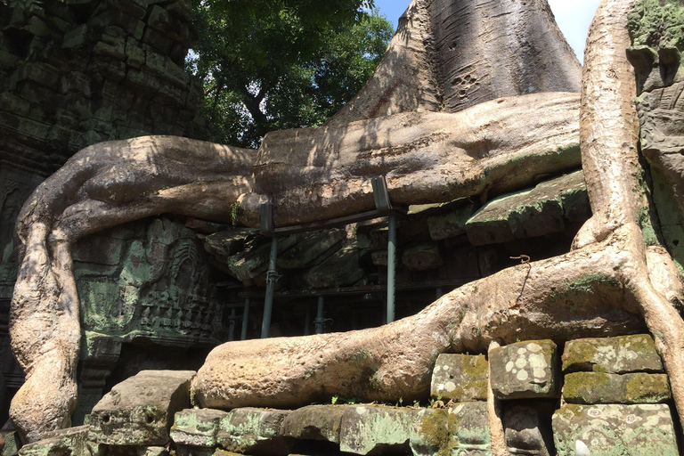 Siem Reap: Angkor Wat and Angkor Thom Private Day Trip