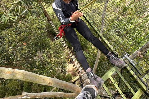 ميديلين: جولة نصف يوم للنزول إلى الشلالات الرائعة.